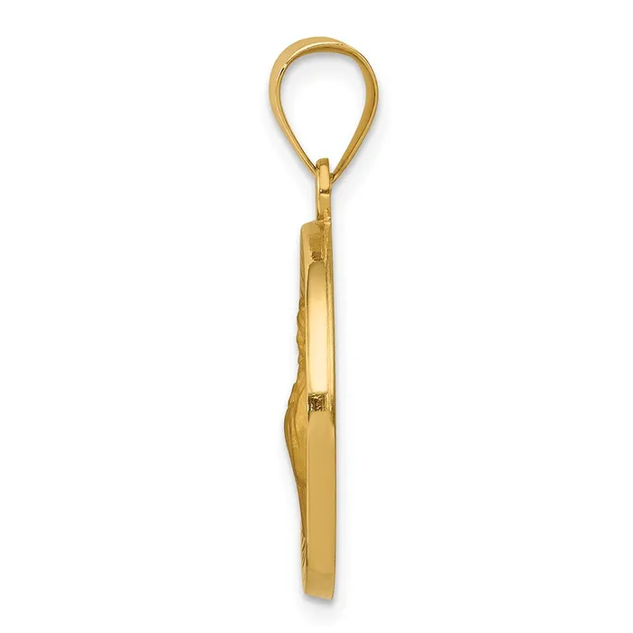 14k Yellow Gold Polished and Satin St Francis of Assisi Medal Hollow Pendant TreasureFineJewelers Necklaces