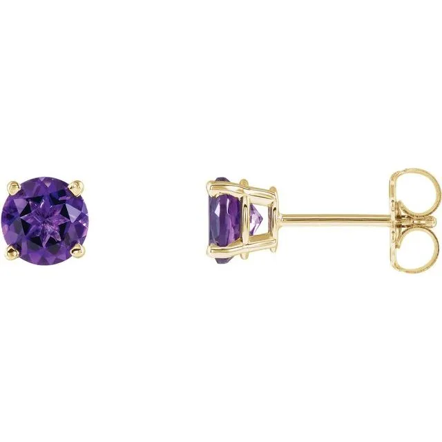 Earrings TreasureFineJewelers 14K Yellow Gold 5 mm Natural Amethyst Stud Earrings with Friction Post