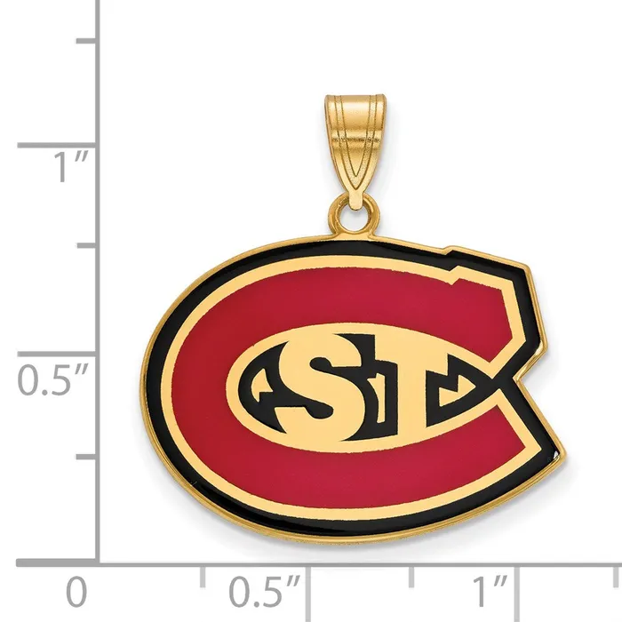 TreasureFineJewelers Necklaces Sterling Silver Goldplated St Cloud State University Large Enameled Pendant